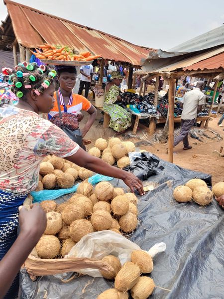 Togo Markt 210.jpg